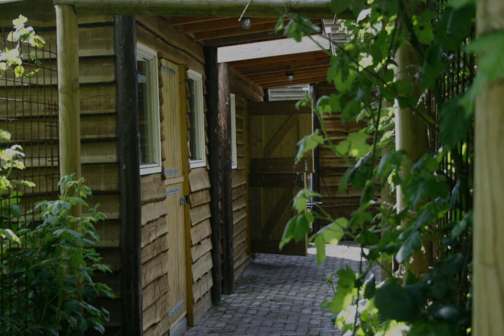 Noordhuisjes Drenthe