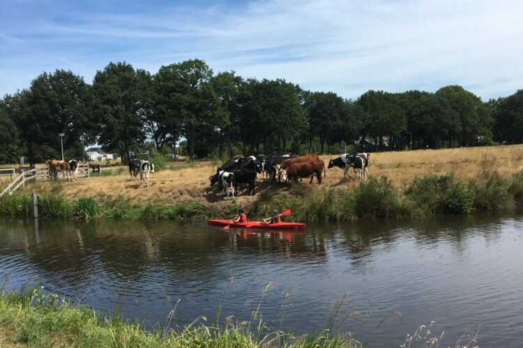kanoën in drenthe
