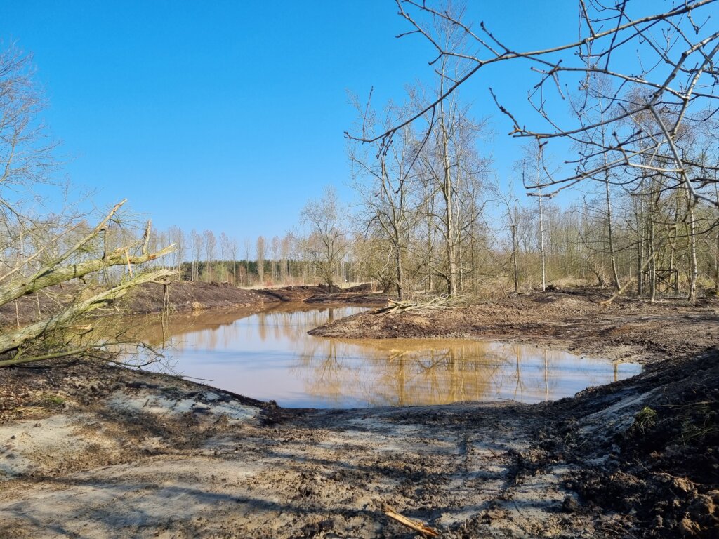 Nieuwe zwemvijver eigen zwemplas bijzonder overnachten grote groep